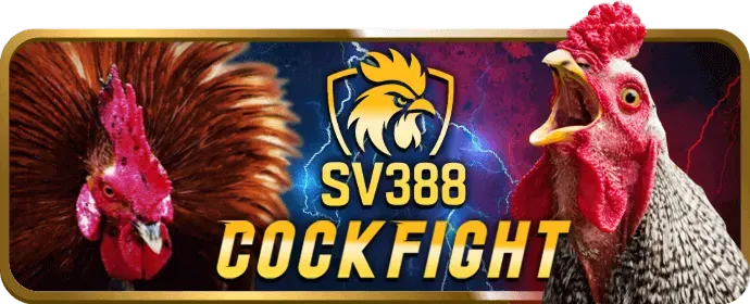 Cá cược bóng đá nohu77